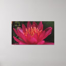 Suche nach rosa lilie leinwandbilder Für sie