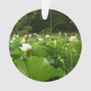 Suche nach lotus ornamente Rosa