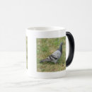 Suche nach tauben tassen Vögel