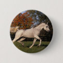 Suche nach stallion buttons Foto