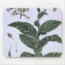 Suche nach veg mousepads Botanisch