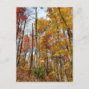 Suche nach great smoky mountains national park postkarten Wald