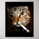 Suche nach rauchend poster Katze