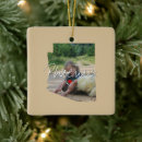 Suche nach phoenix schmuck Zuhause