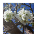 Suche nach cluster fliesen Blume