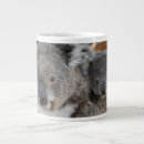 Suche nach niedlicher koala tassen Bär