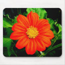 Suche nach mexikanische mousepads Orange