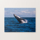 Suche nach buckelwal puzzle Wild lebende tiere