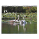 Suche nach schwan kalender Cygnet
