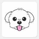 Suche nach bichon aufkleber Niedlicher hund