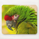 Suche nach zoo mousepads Vögel