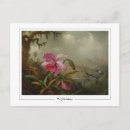 Suche nach martin johnson heade postkarten Orchideen