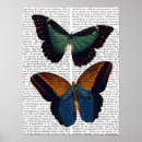 Suche nach schmetterling poster Blume