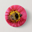 Suche nach hummel buttons Bienen