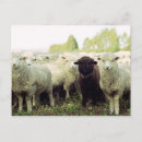 Suche nach tierfamilie postkarten Im freien