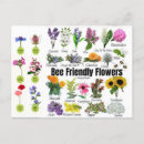 Suche nach bunte biene postkarten Bienen