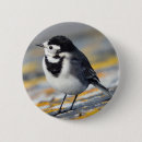 Suche nach vogel abzeichen buttons Foto