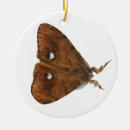 Suche nach moth ornamente Motten