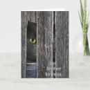Suche nach versteckt karten Katze