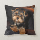 Suche nach yorkshire terrier kissen Niedlich