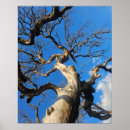 Suche nach eichen poster Texas