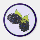 Suche nach ihr blackberry magnete Küche