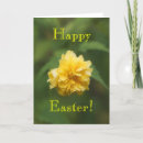 Suche nach schüchtern karten Easter