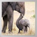 Suche nach elephant poster Baby