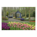 Suche nach haus und garten poster Blume