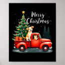 Suche nach katzen und hunde poster Weihnachten