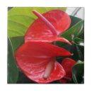 Suche nach kleine blumen fliesen Rot