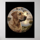 Suche nach labrador hunde poster Gute willensjagd