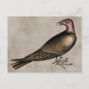 Suche nach bussard postkarten Halloween