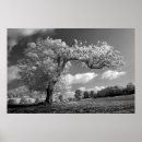 Suche nach winde poster Baum