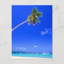 Suche nach boracay postkarten Kokospalmen