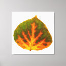 Suche nach grüner apfel leinwandbilder Gelb