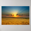 Suche nach anzeigen poster Sonnenuntergang