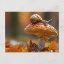 Suche nach niedliche schnecken postkarten Pilz