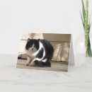 Suche nach schwarz weiße katze karten Tier