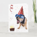 Suche nach kot karten Hund