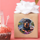 Suche nach rottweiler aufkleber Haustier