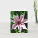 Suche nach clematis karten Schön