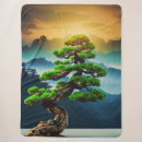 Suche nach bonsai geschenke Baum