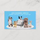 Suche nach sofa visitenkarten Hund