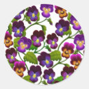 Suche nach stiefmütterchen aufkleber Quelle