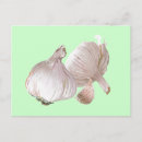 Suche nach kräuter und gewürze postkarten Kochen