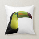 Suche nach toucan kissen Niedlich