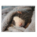Suche nach ratten kalender Haustiere