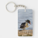Suche nach baumstamm schlüsselanhänger Vogel