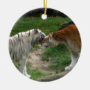 Suche nach bengalische katze ornamente Tiger